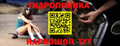 СК Гусев