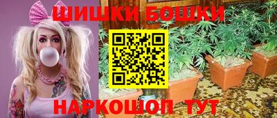 шишки Гусиноозёрск
